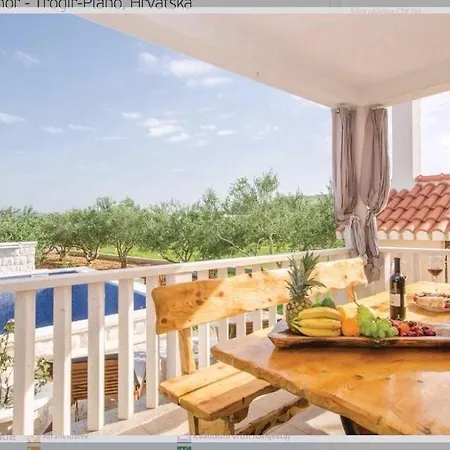 Olive Casa *