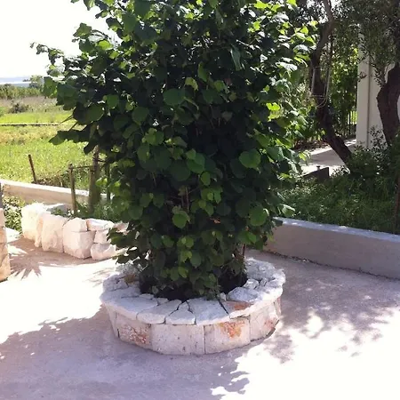Olive Casa Villa